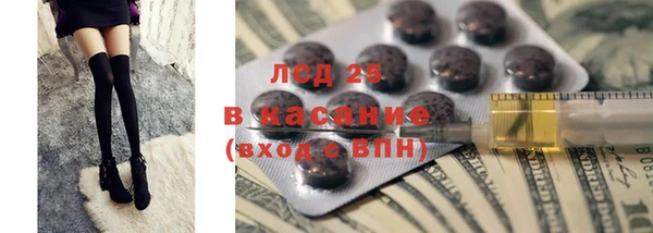 стафф Алексин