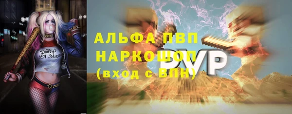 стафф Алексин