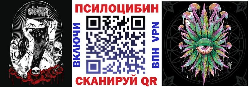 Псилоцибиновые грибы Psilocybine cubensis  магазин продажи наркотиков  Бабаево 